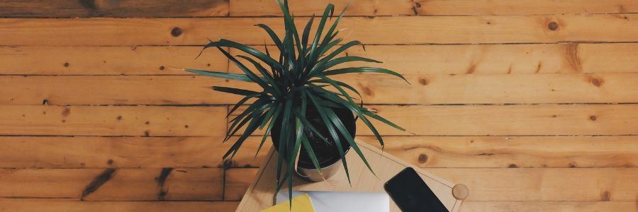 Hvordan renser, rengør og plejer man et lakeret trægulv?